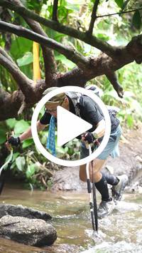 BIB:  <button type="button" onclick="openModal(27617406)" class="btn btn-primary btn-sm float-right" data-toggle="modal" data-target=".modal-high-quality">
                <i class="fa fa-download"></i> Download
                </button>